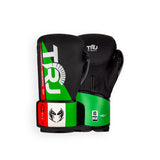 TRJ G4 ITA Guantoni Boxe