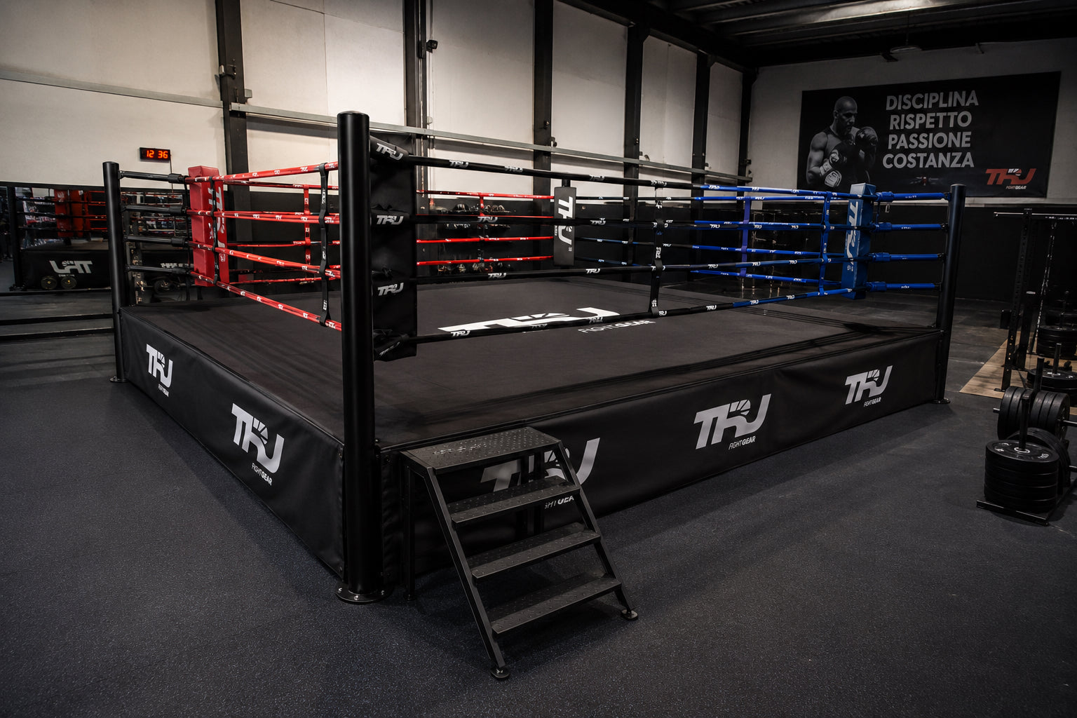 Ring da Boxe Professionali