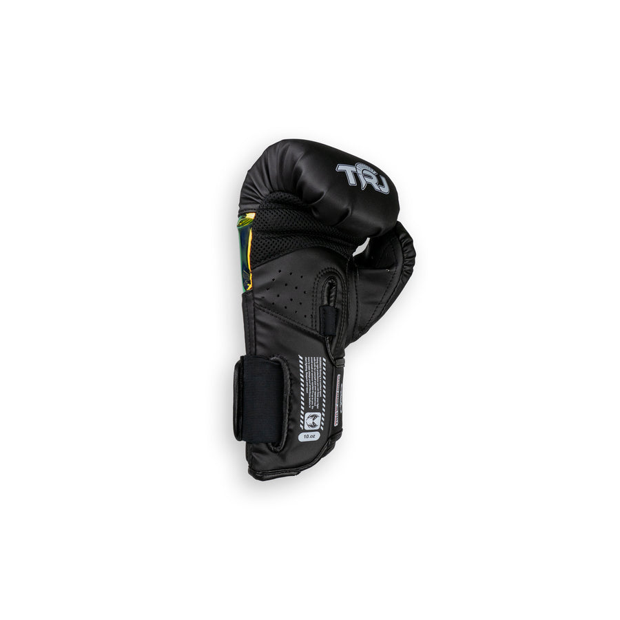 FIRST - ECO Sustainable Professional Boxing Gloves